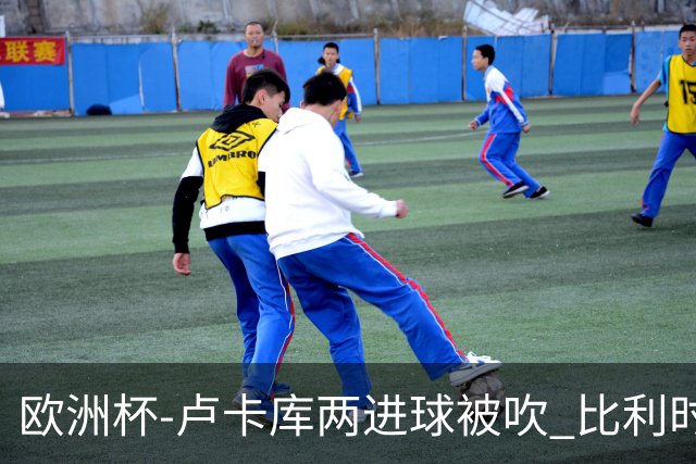 欧洲杯-卢卡库两进球被吹 比利时0-1斯洛伐克